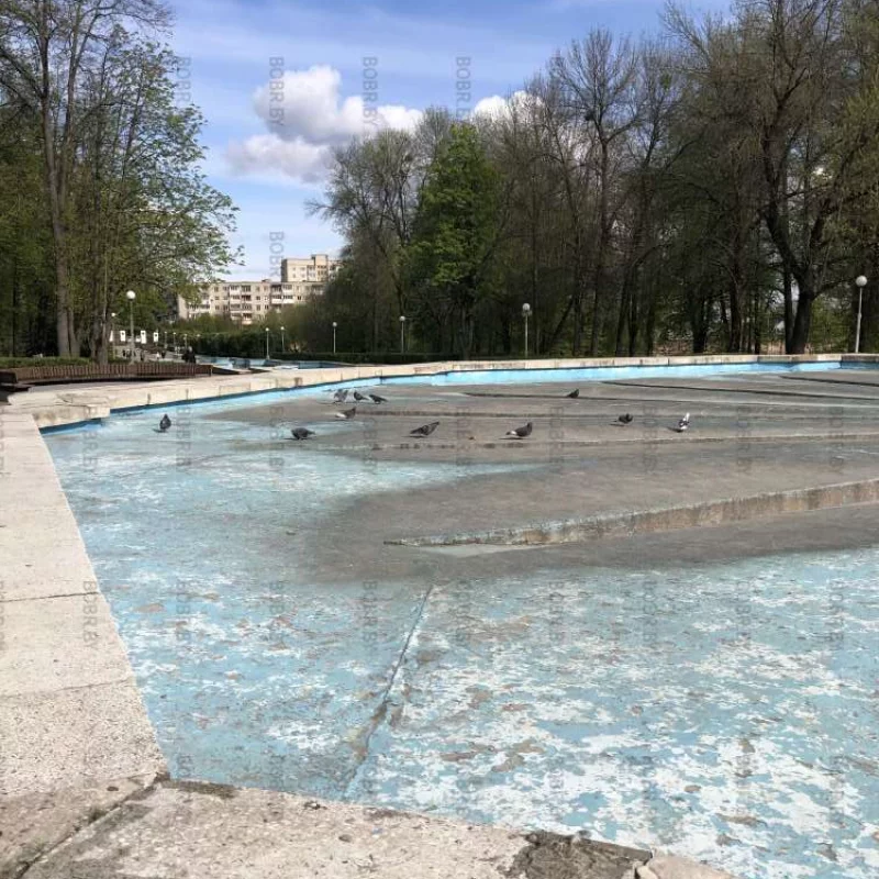 Голуби с зимы голодные