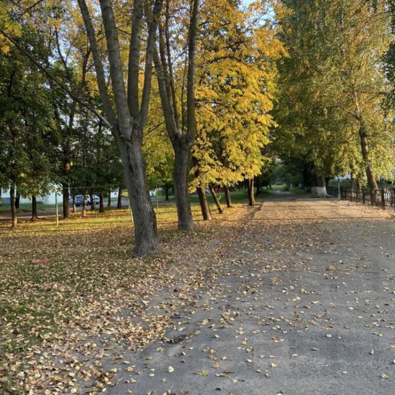 Осень
