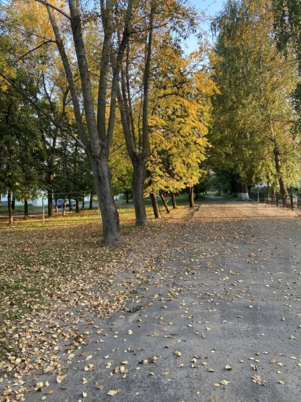 Осень
