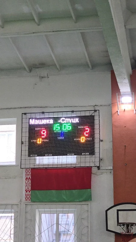 Чемпионат по гандболу
