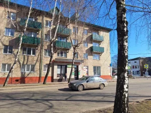 1 комнатная квартира в центре