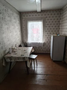 Дом в д.Малые Бортники