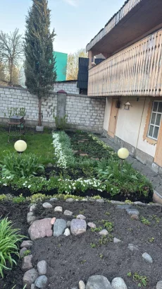 Цветы многолетние