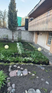 Цветы многолетние