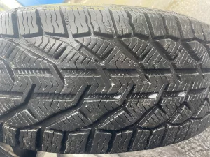 Зимняя шина KORMORAN 205/55 R17
