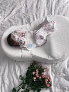 Кокон зевушка