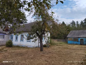 Дом в деревне