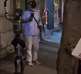 В Китае на женщину напал гуманоид