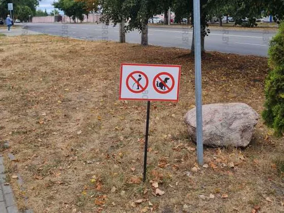 Тематическая подборка фотофактов: Разное