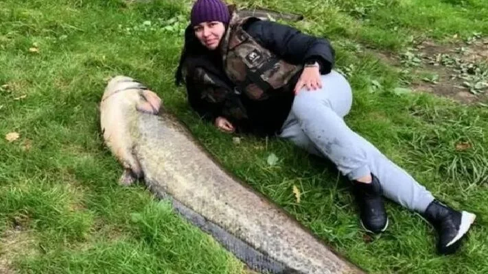 Бобруйчанка поймала в Березине сома весом 47 килограммов
