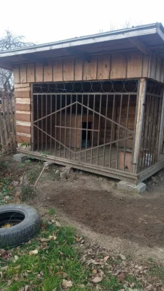 Будка для собаки, вольер