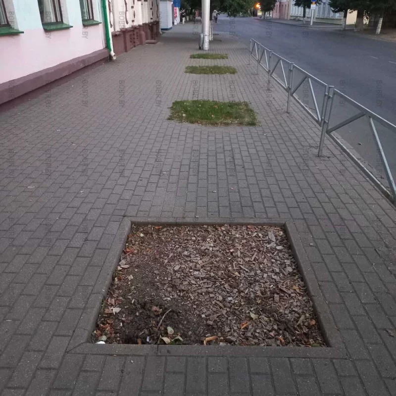 4 братские могилы