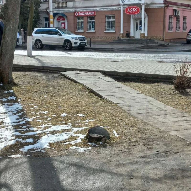 Бобруйск - город пеньков 