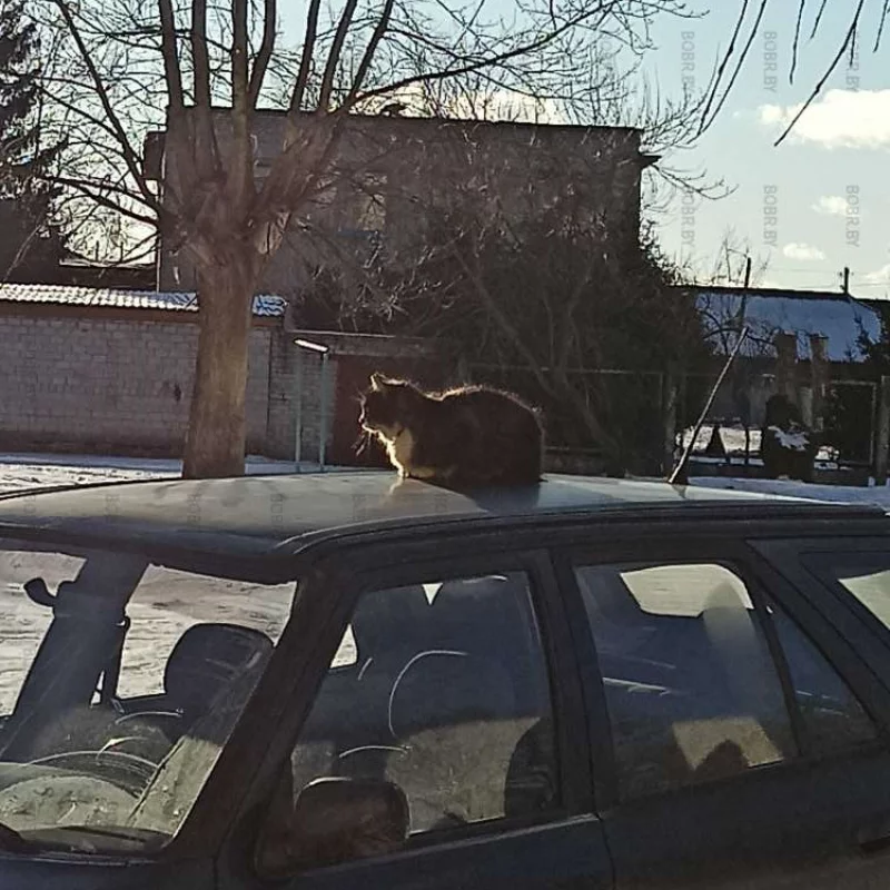 Солнышко все любят