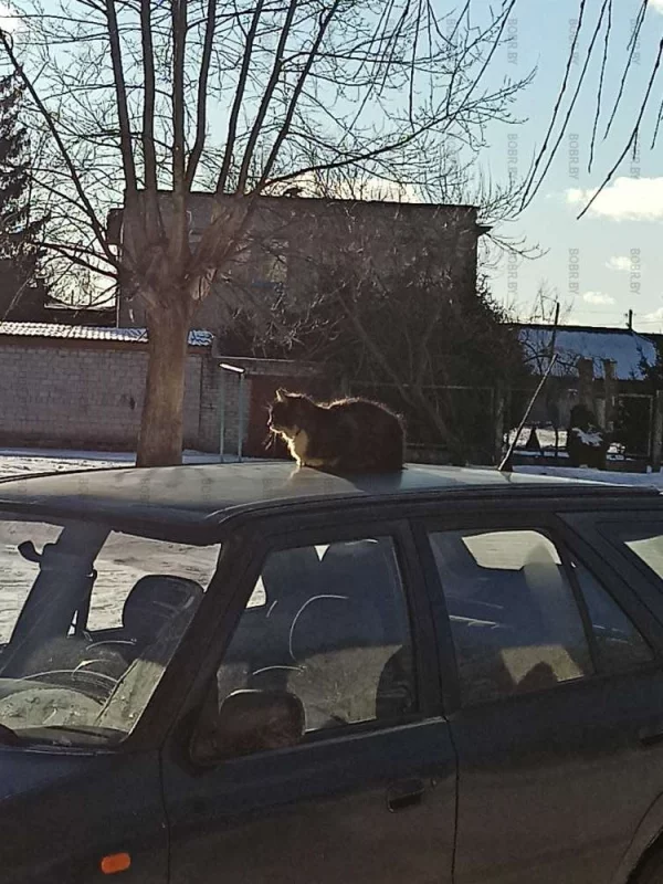 Солнышко все любят