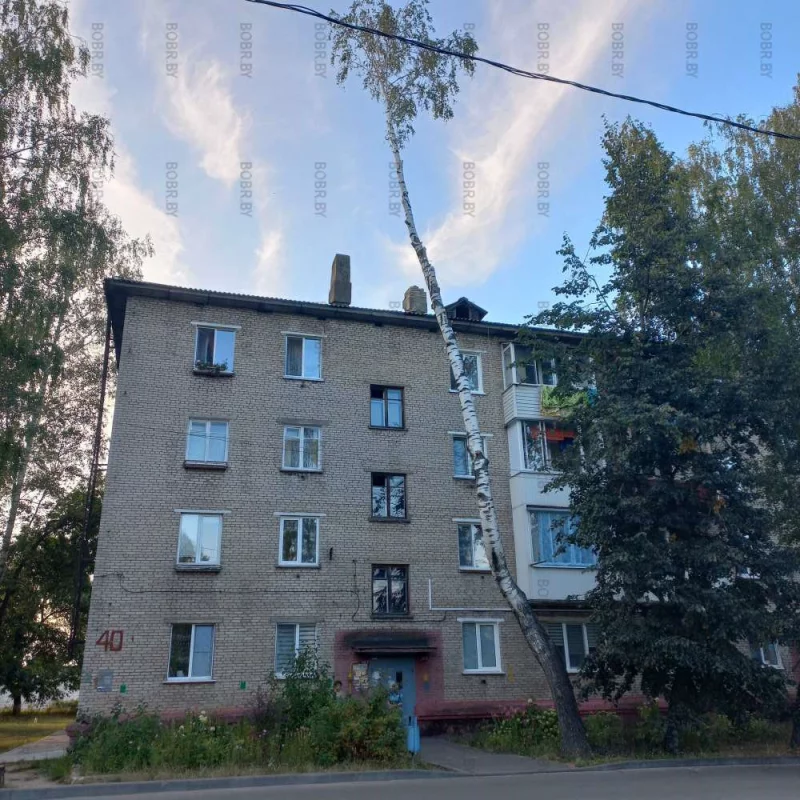 Пальмы 