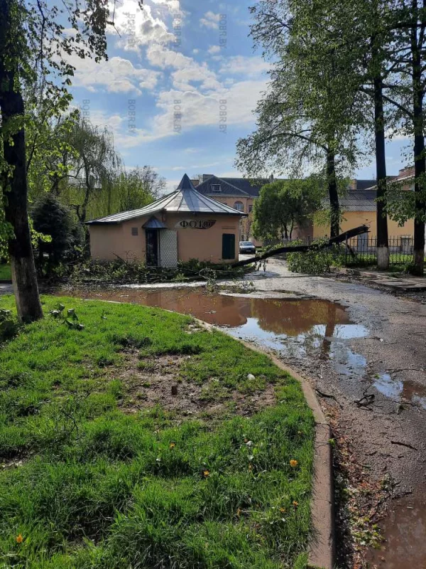 А у нас во дворе...