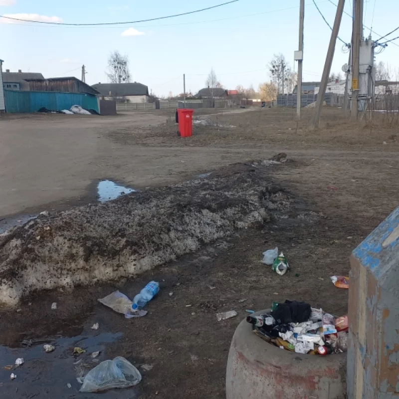 По улице сеголня проехала машина спецавтопредприятия, был сбор тбо. однако уборкой урн у остановок никто не собирается заниматься