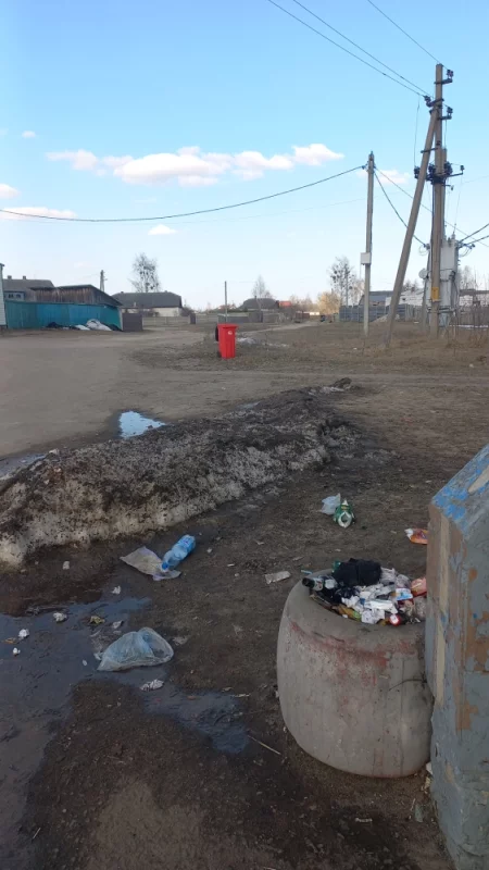 По улице сеголня проехала машина спецавтопредприятия, был сбор тбо. однако уборкой урн у остановок никто не собирается заниматься