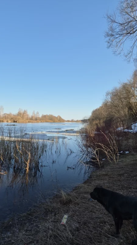 Ледоход на Березине