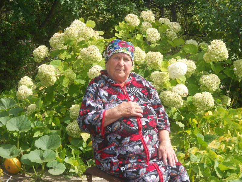 Лучшее ветеранское подворье