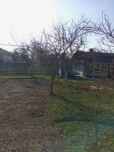 Дом в центре города по ул. Пионерская (р-н 1-й поликлиники)