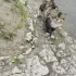 Кошечка