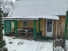 Дачу ст. Буратино (крапивка)