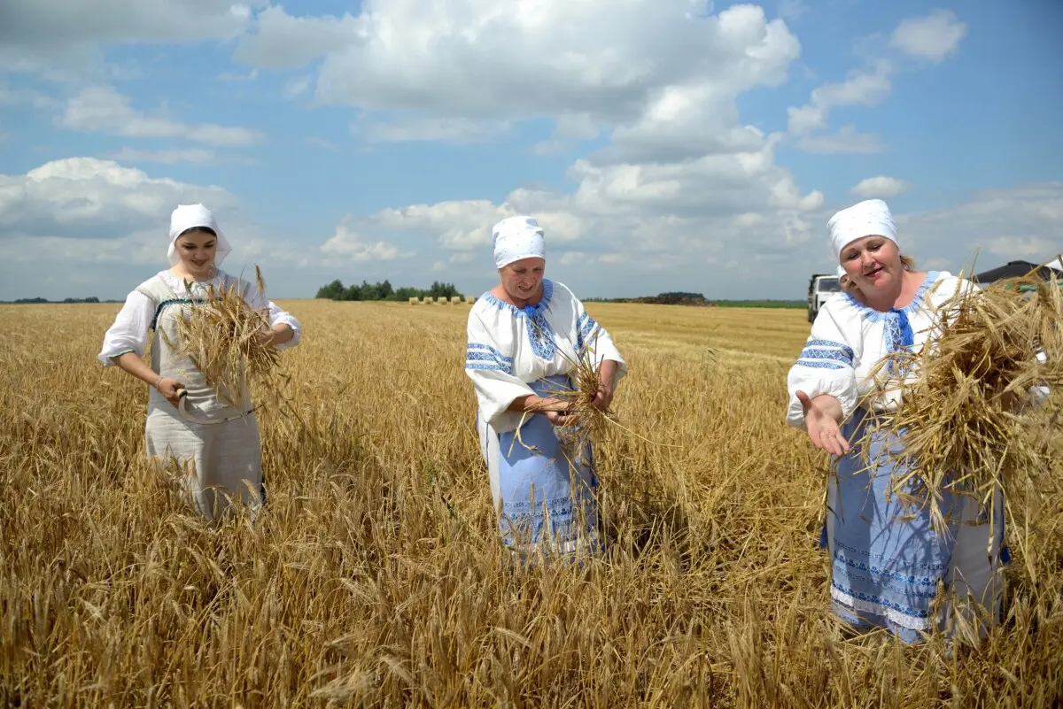 Свята першага снапа. У Бабруйскім раёне прайшлі «Зажынкі»