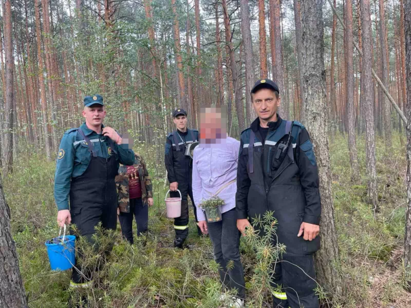 «Были напуганы, но ягоды не бросили»: поиски двух женщин в Бобруйском районе увенчались успехом