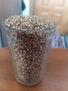 Укроп и кориандр