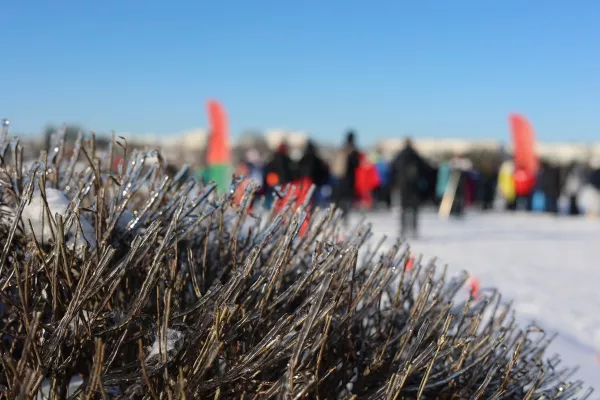 Снова усиление морозов — до минус 27 на следующей неделе обещают синоптики