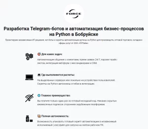 Разработчик веб-сервисов / Специалист по автоматизации процессов