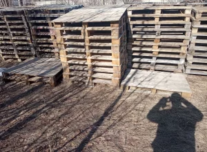Поддоны деревянные разных размеров все целые. Возможна доставка