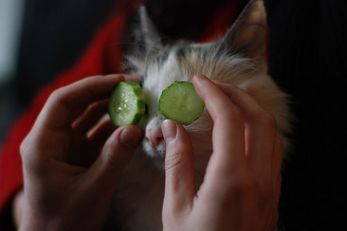 Огуречная маска