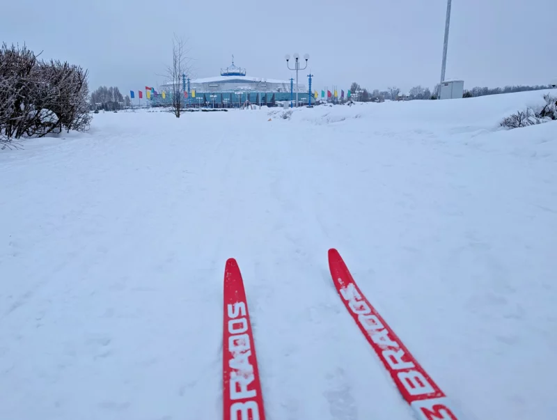 Шорох и хруст. Корреспондент BOBR.BY съездила на разведку Бобруйской лыжни