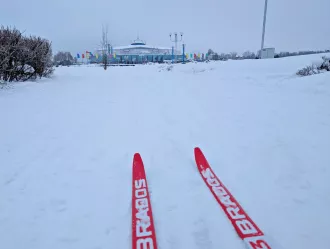 Шорох и хруст. Корреспондент BOBR.BY съездила на разведку Бобруйской лыжни