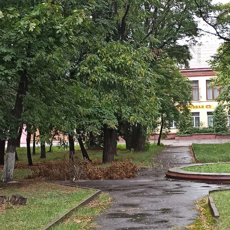 Вот такая красота рядом с центральной улицей города