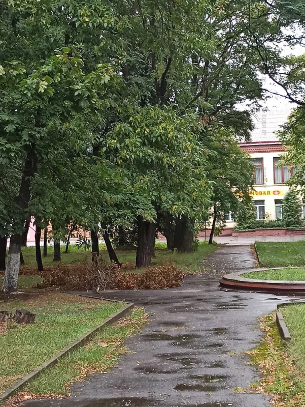 Вот такая красота рядом с центральной улицей города