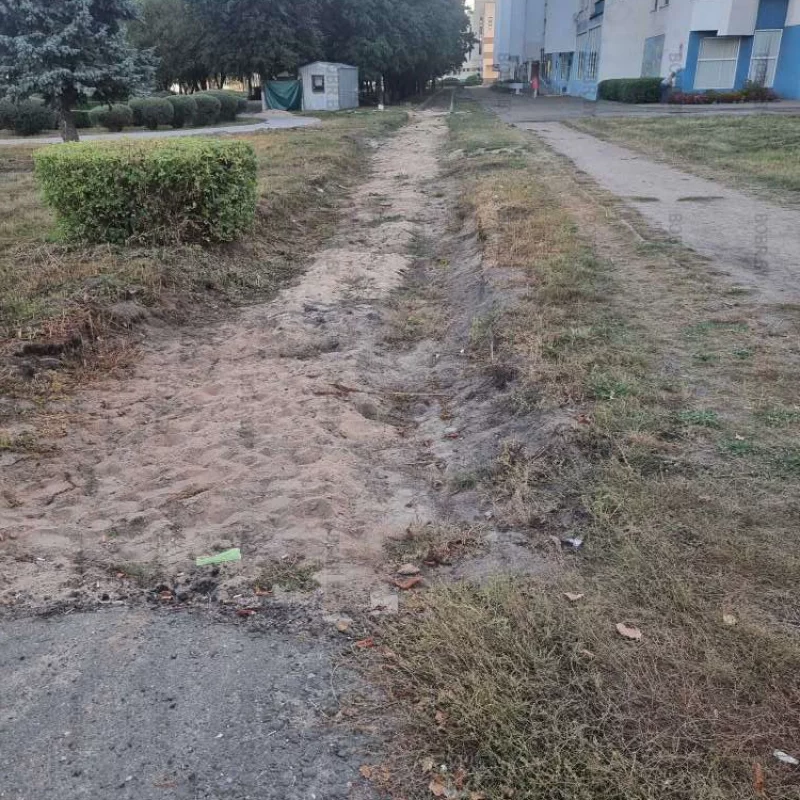 До конца лета Так пешеходную дорожку и не сделали.
