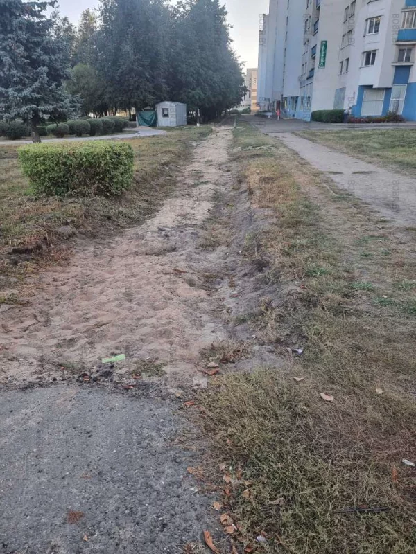 До конца лета Так пешеходную дорожку и не сделали.