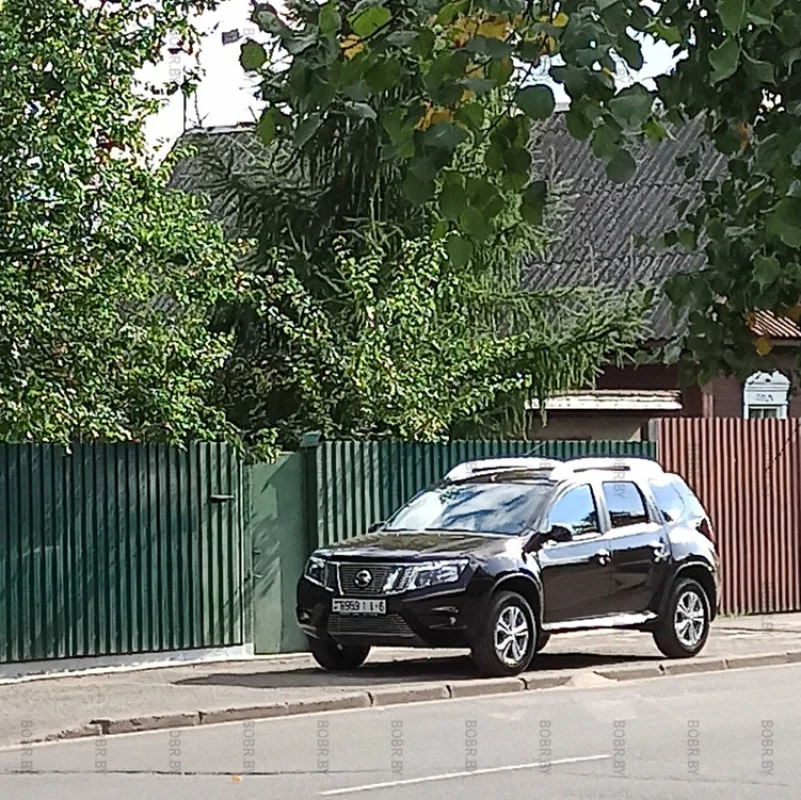Автомобильный хулиган
