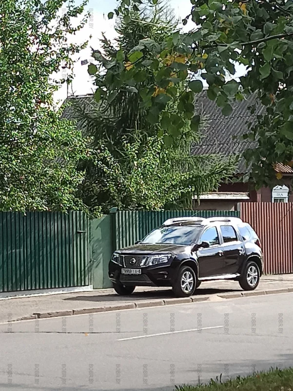 Автомобильный хулиган