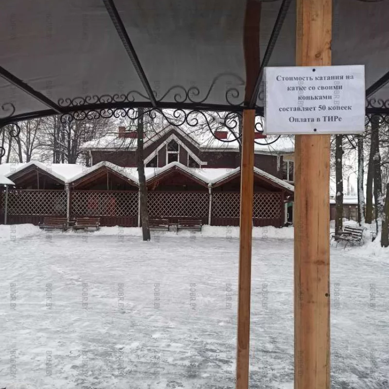 Парк приглашает на мини-каток