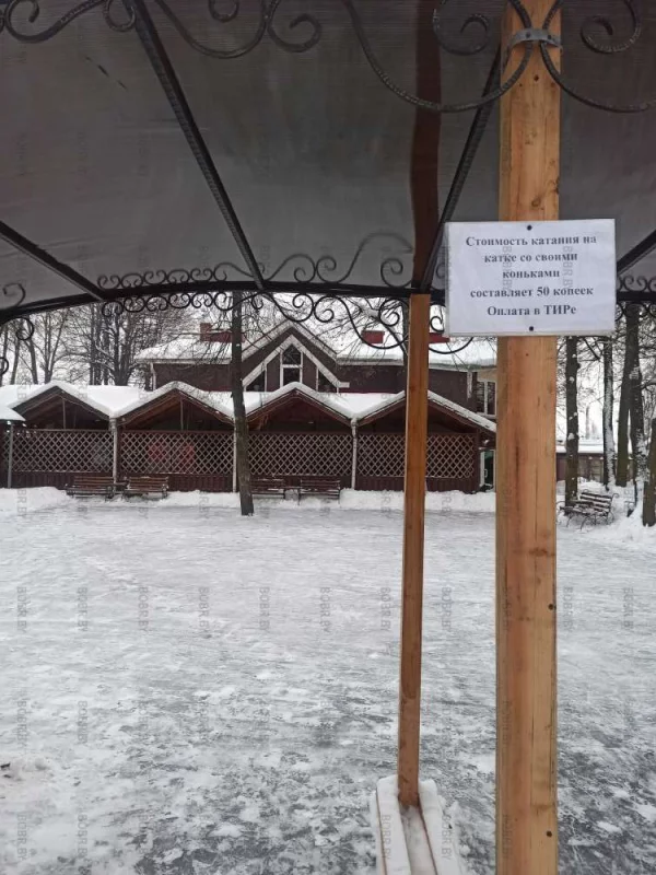 Парк приглашает на мини-каток