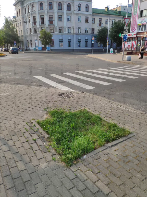 Очень красивая клумба на центральном перекрестке города Бобруйска. Спасибо зеленхозу за такую красоту!