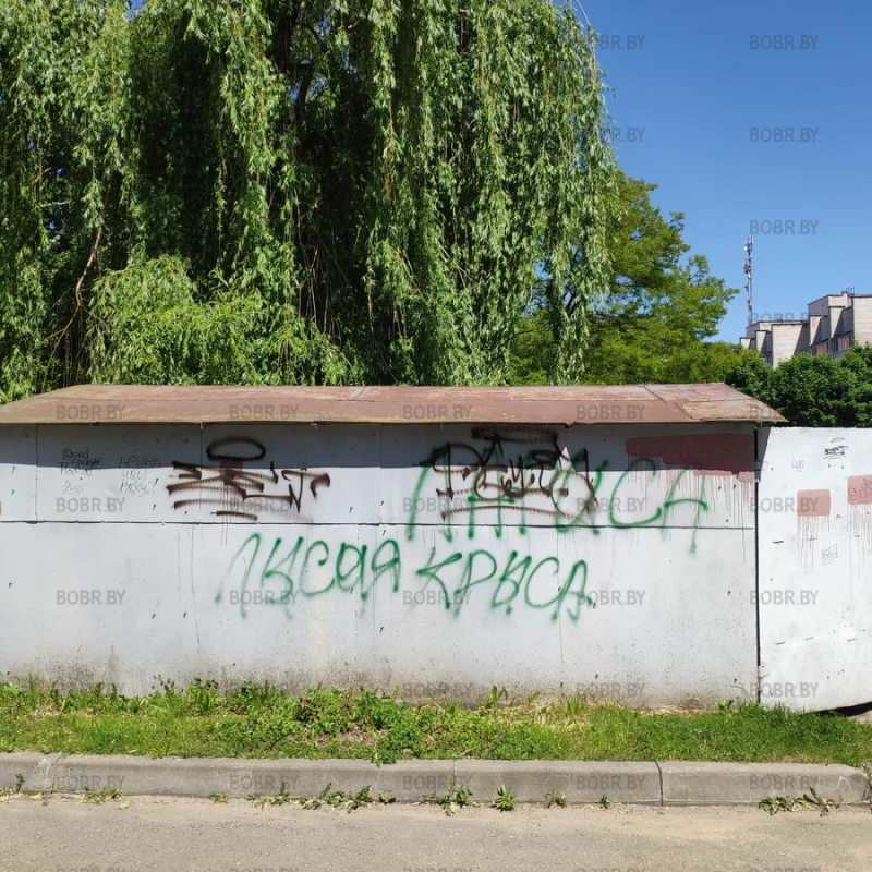 Бобруйский стрит-арт