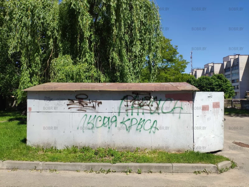 Бобруйский стрит-арт