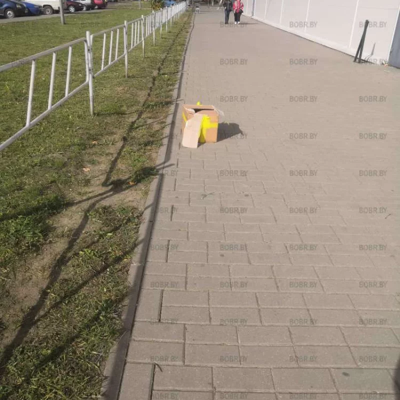 Не донесли... 