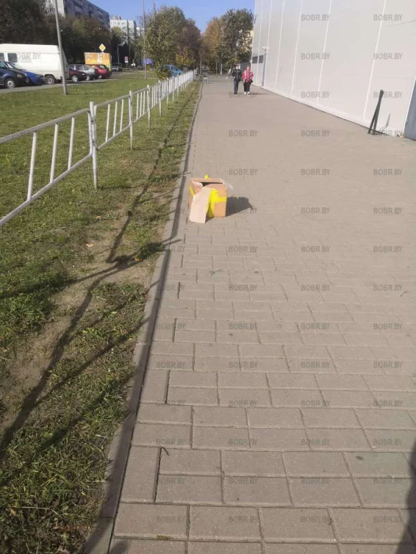 Не донесли... 